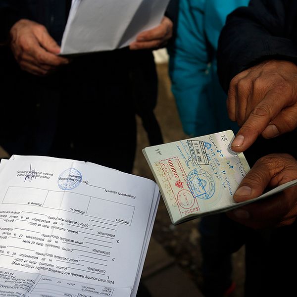 Flyktingar med syriska dokument i Serbien.
