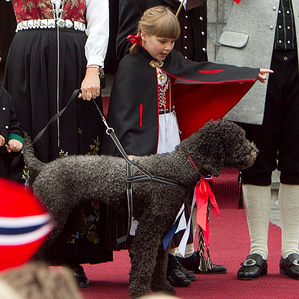 Prins Sverre Magnus, prinsessan Ingrid Alexandra och kronprinsfamiljens hund Milly Kakao hälsar på barntåget utanför Skaugum