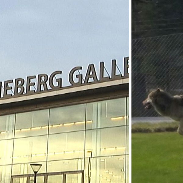 Skylt Marieberg Galleria och varg
