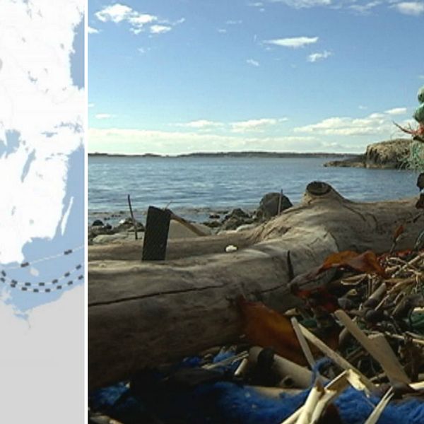 Stora mängder plast färdas med strömmarna och fastnar på Bohusläns klippiga stränder.