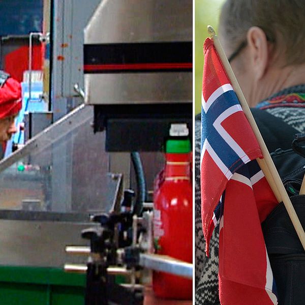 Nya jobb kan skapas i Fågelmara.