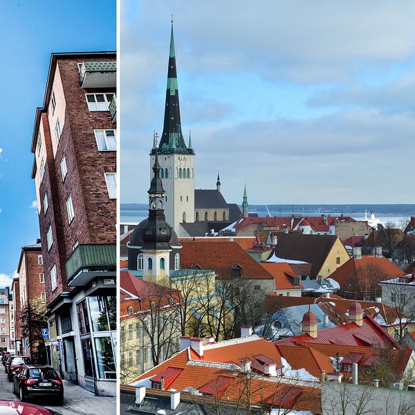 Södermlam i Stockholm och Tallinn.