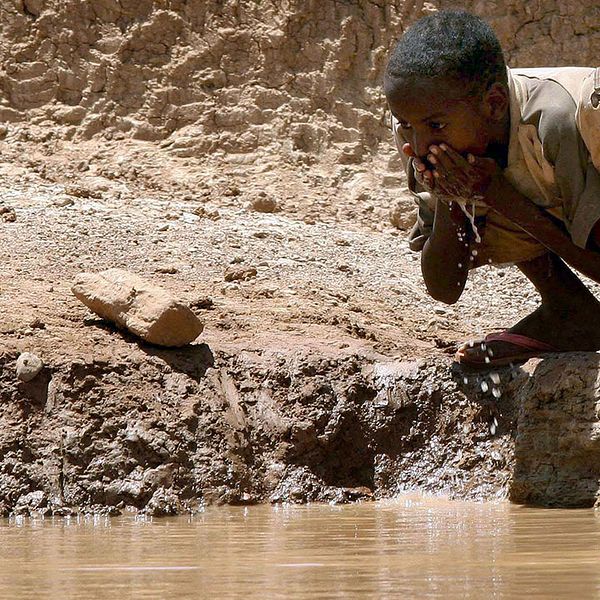 ”Flodar blir till damm av torkan” varnar FN – här en pojke som dricker ur en ”damm” som byborna i Bur Dhuxunle i södra Somalia grävt ur.