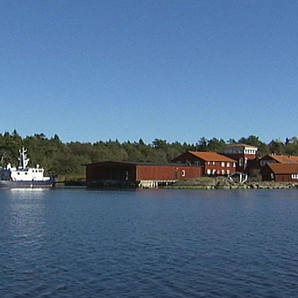 Bara på Skoghalls båtsällskap var det 53 båtar som inte sattes i sjön förra sommaren.