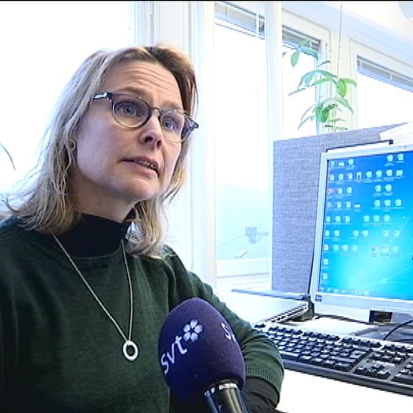 Anna Liljehag. Chefredaktör. LT. Tidning.