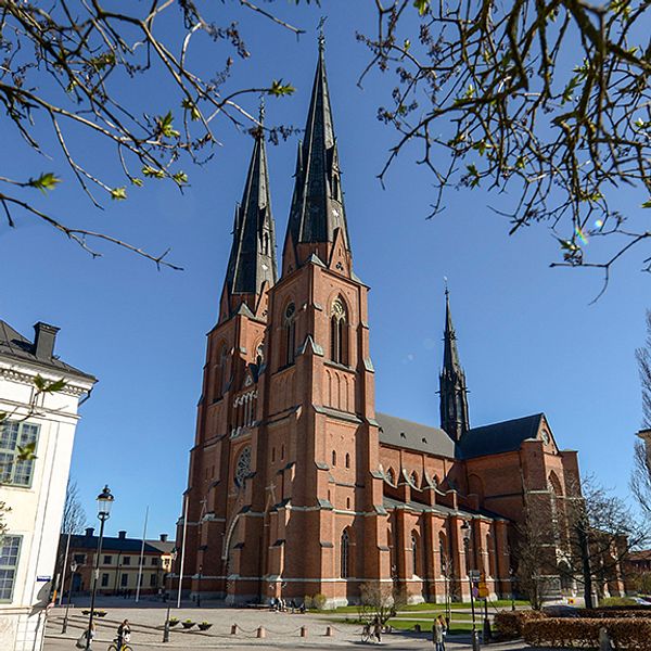 Uppsala stad har vunnit pris för att vara ”Bästa stadskommun”. Rankningen är gjord av tidningen Fokus, som årligen delar ut priset i olika kategorier.