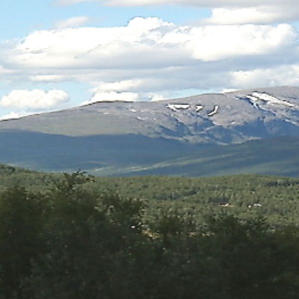 vy över skog och fjäll