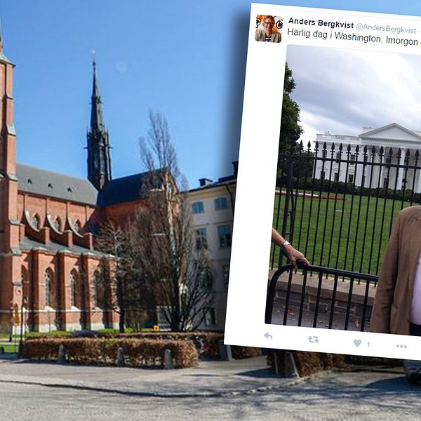Svenska kyrkan, Anders Bergkvist