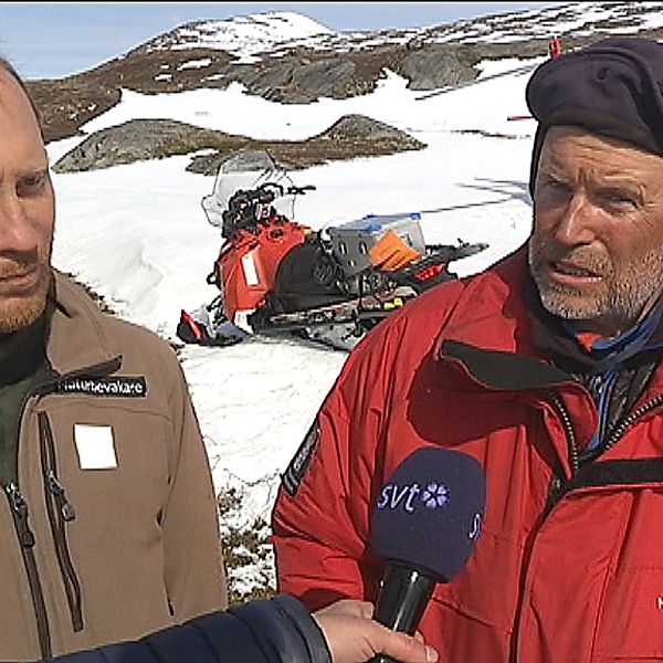 Naturbevakarna Tomas Hansén och Jan Stuge.