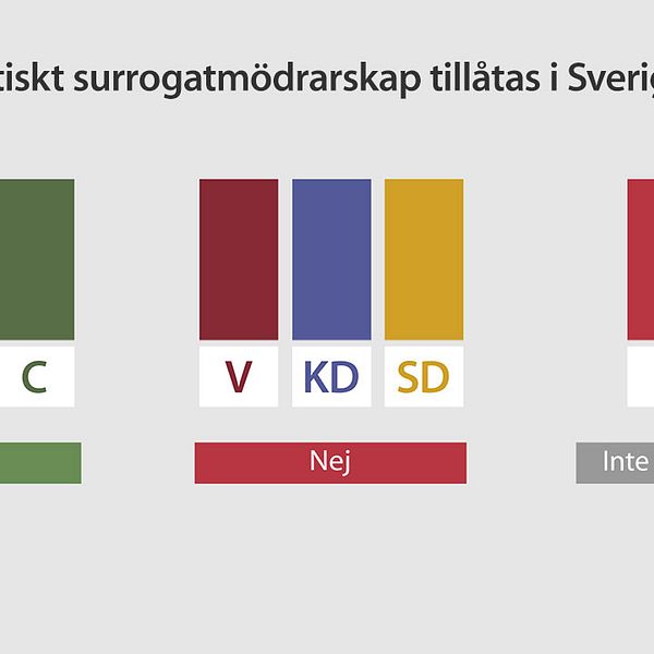 Frågan splittrar partierna