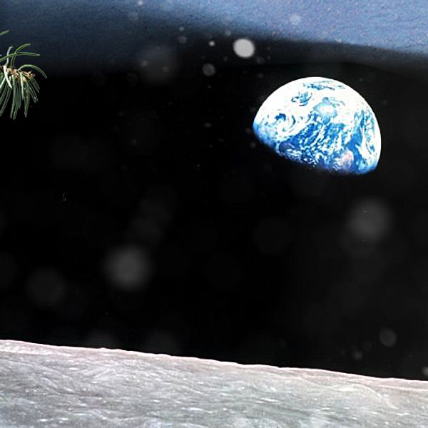 Hör en (kontroversiell) julhälsning från Apollo åttas omloppsbana runt månen från 1968. I tur och ordning hörs astronauterna William Anders, Jim Lovell och Frank Borman.