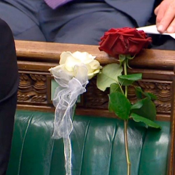 Röd och vit ros på mördade Jo Cox stol i parlamentet.