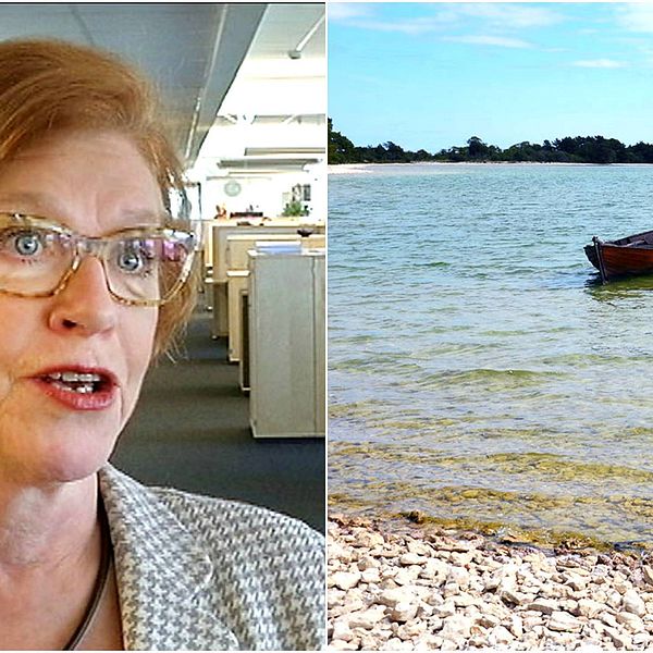 Cecilia Schelin Seidegård Landshövdning på Gotland samt Bästeträsk