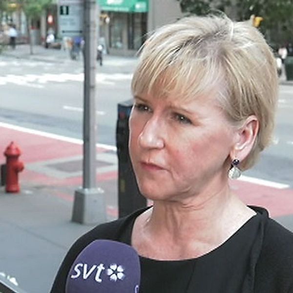 Utrikesminister Margot Wallström: Avtalen med Storbritannien kan ta lång tid att reparera