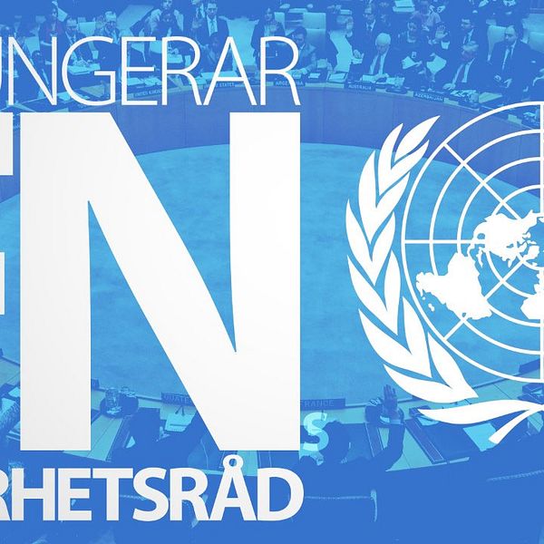 Så fungerar FN Säkerhetsråd