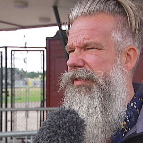 Festivalgeneral Niclas Lagerstam om sexuella ofredanden på festivalen Putte i Parken.