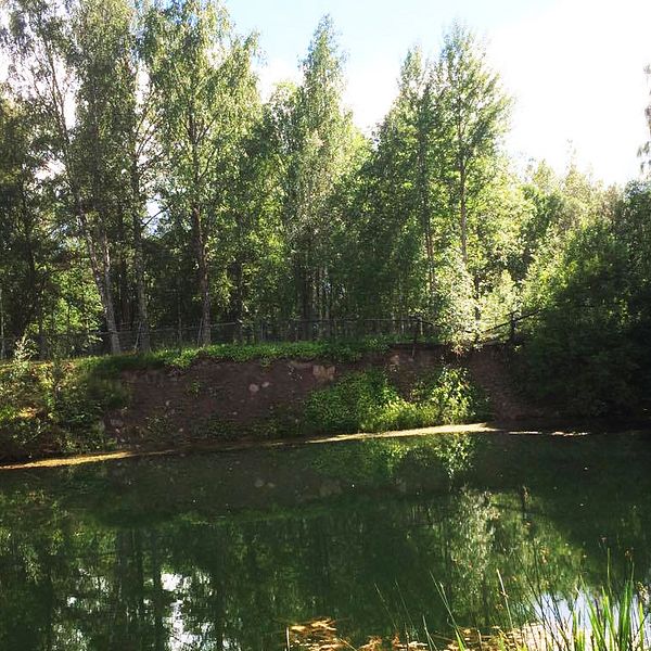 Här hittades kvinnan i ett vattenfyllt gruvhål vid Rällingsberg utanför Långshyttan.