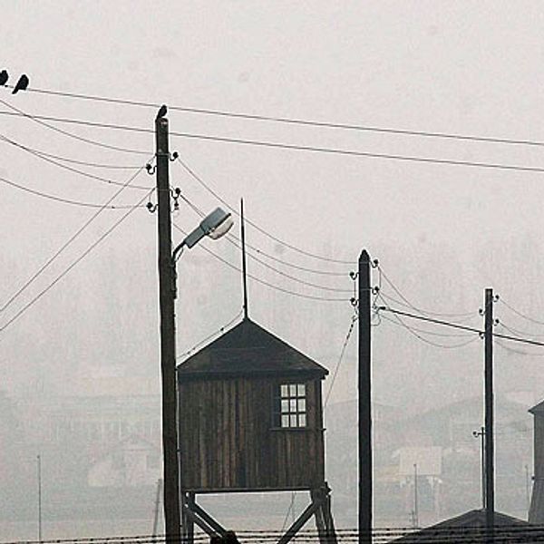 Förintelselägret i Majdanek