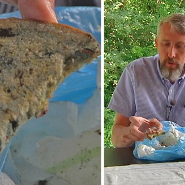 Jonas Hillerström larmade om att hemtjänsten lät en 97-åring äta mögligt bröd
