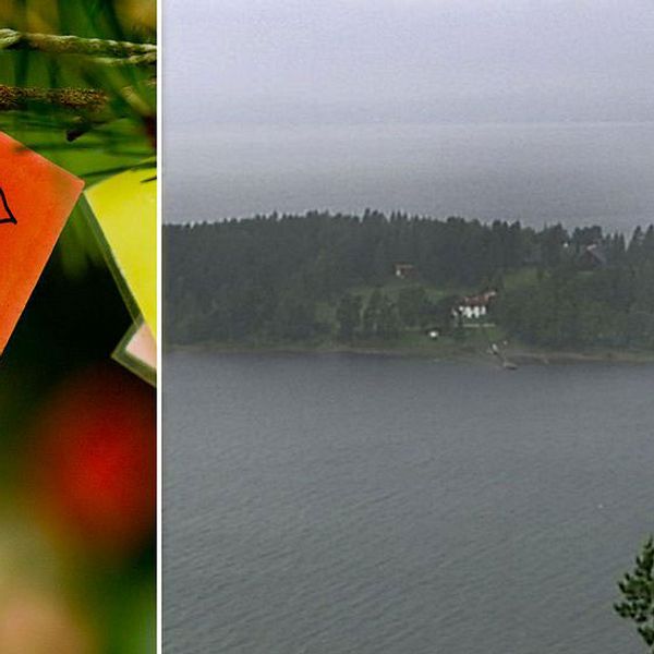 Långvarigt lidande efter massakern på Utöya