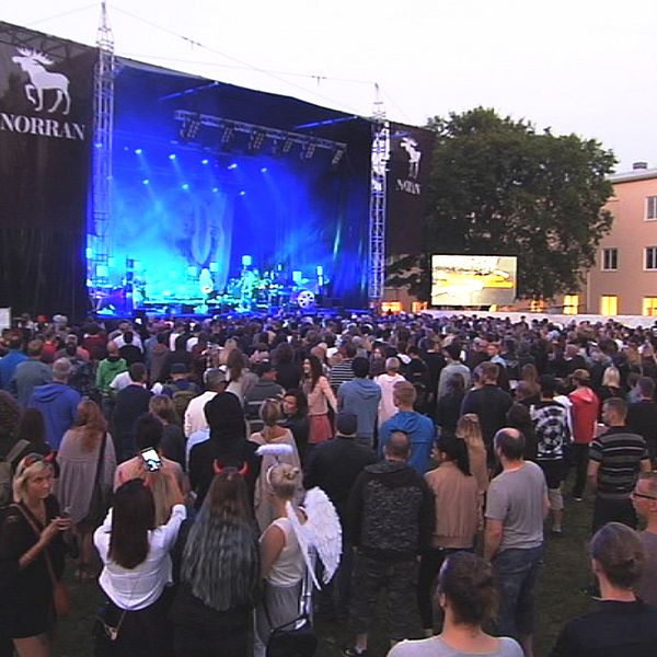 trästock2016