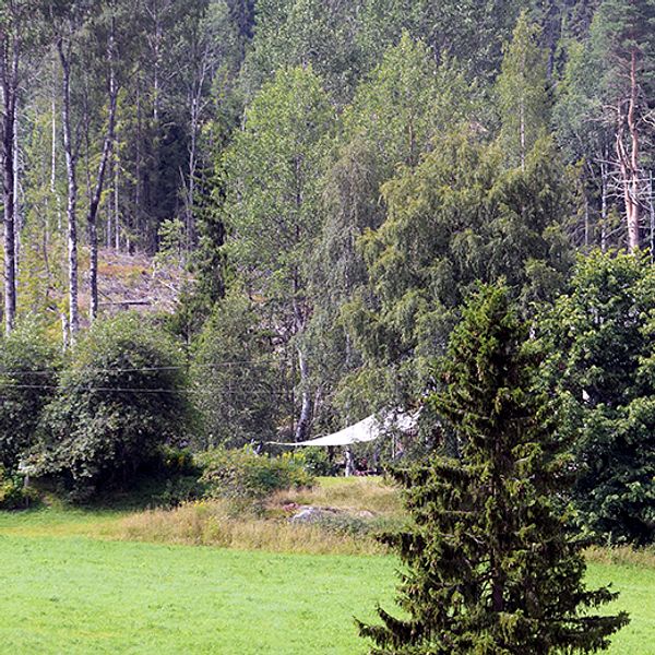 Flaggan vajar på halv stång på familjen Fälldins gård i Ramvik.