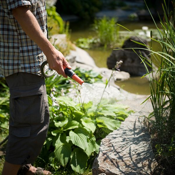 En man vattnar i trädgården med vattenslang.