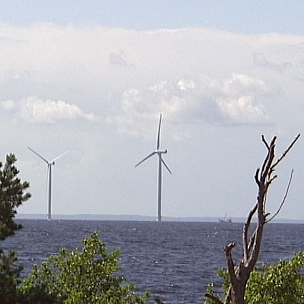 Flera vindkraftverk syns stå upp ute i vattnet.