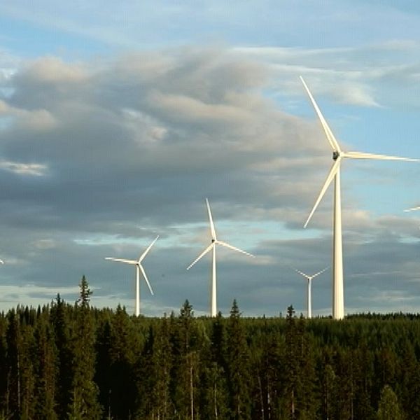 vindkraft, vindkraftverk, vindkraftspark, förnyelsebar energi