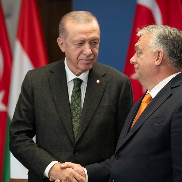 Recep Tayyip Erdogan och Viktor Orban