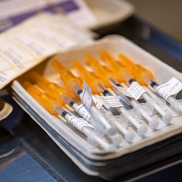 Färdigfyllda sprutor med orange skydd ligger i en bricka inför vaccination.