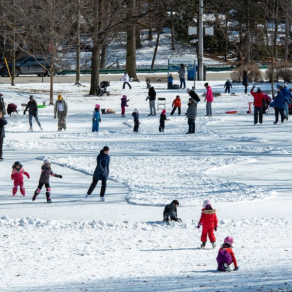 Människor leker och åker skridskor i en snöig park.