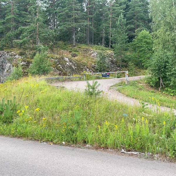 Väg och skogsparti vid Svinbäcksberget, plats för misstänkt våldtäkt.