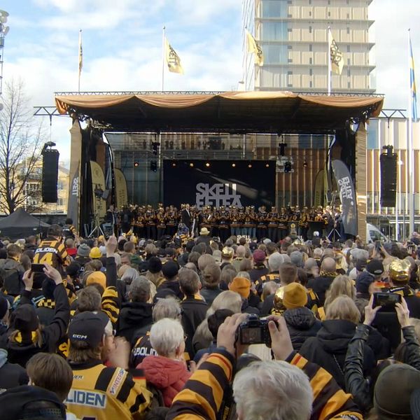 Ett stort folkhav klädda i svart och gult står framför en scen i centrala Skellefteå.