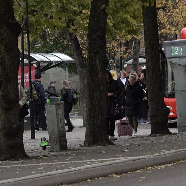 Människor och bussar