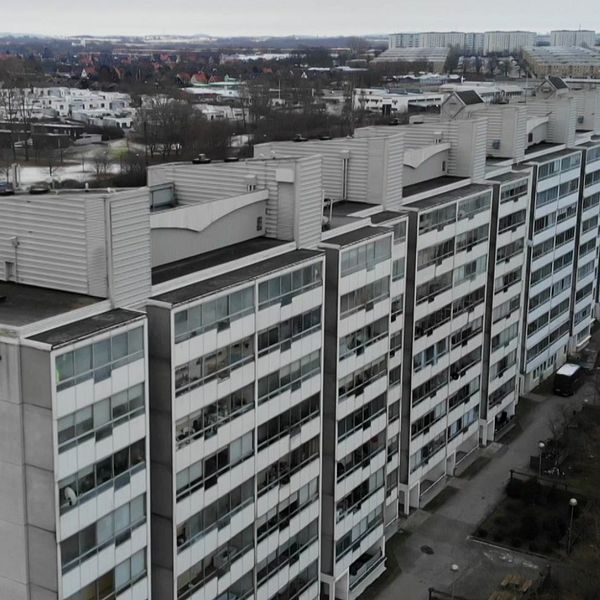 Kinesiska muren i Malmö,