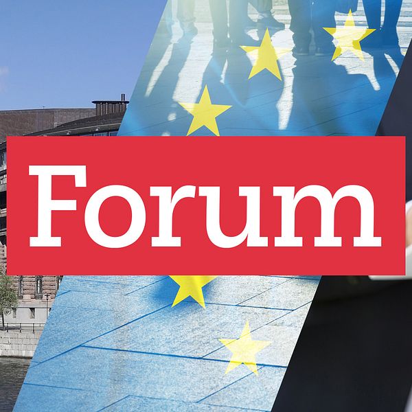 Tredelad bild. Till vänster: Riksdagen. I mitten: EU:s flagga. Till höger: Businessman med mikrofoner.