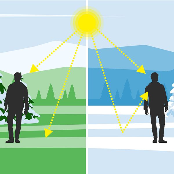 Solstrålningens reflektion