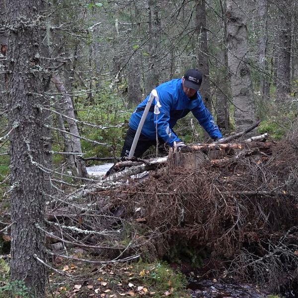 Craig King bygger konstgjord bäverdamm