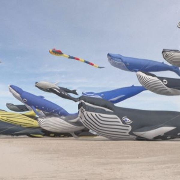 Jättevalformade drakar svävar på en sandstrand under en klarblå himmel.
