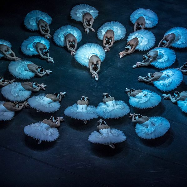 En grupp av ballerinaer i vita ballerindräkter framför en mörk bakgrund. De är arrangerade i en cirkel och utför en synkroniserad dans, vilket skapar en visuell effekt av rörelse och harmoni. Ljuset faller på dem och skapar en stämningsfull atmosfär.