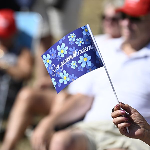 En bild på en flagga med sverigedemokraterna