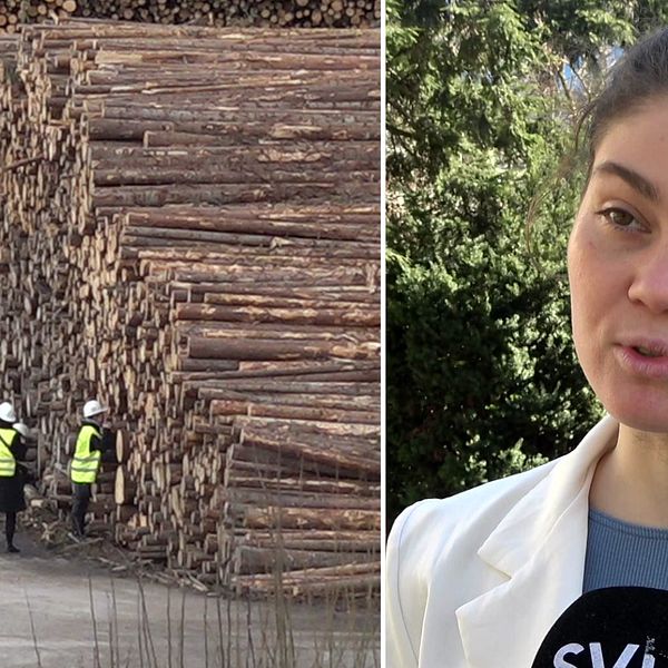 Tvådelad bild. Till vänster: arbetare vid stora staplade timmerstockar.