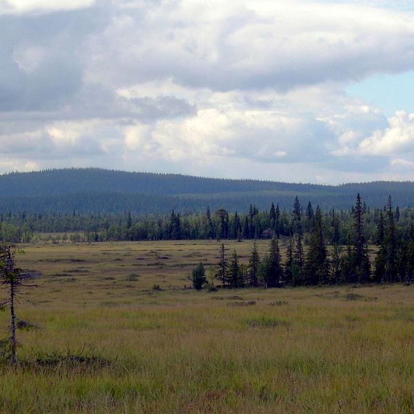 Groddnaliden-Stabburträsks naturreservat