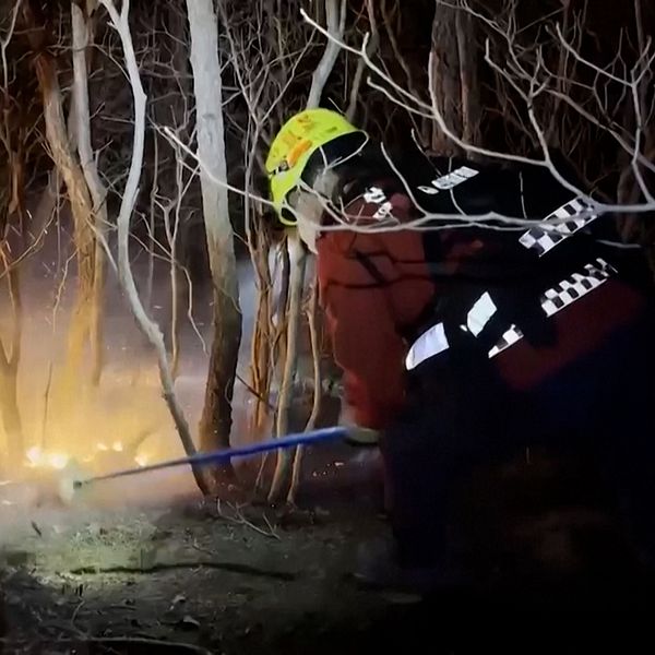 Brandman bekämpar elden i Sydkorea