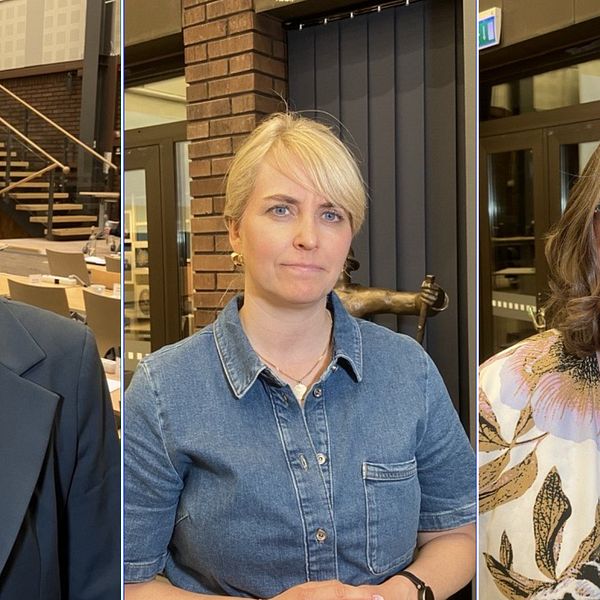Henrietta Modig Serrate, Anna Zelvin, Elizabeth Peltola regionstyelsen