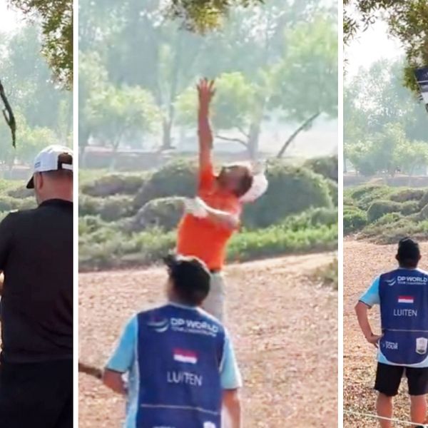 Joost Luitens klubba fastnade i ett träd
