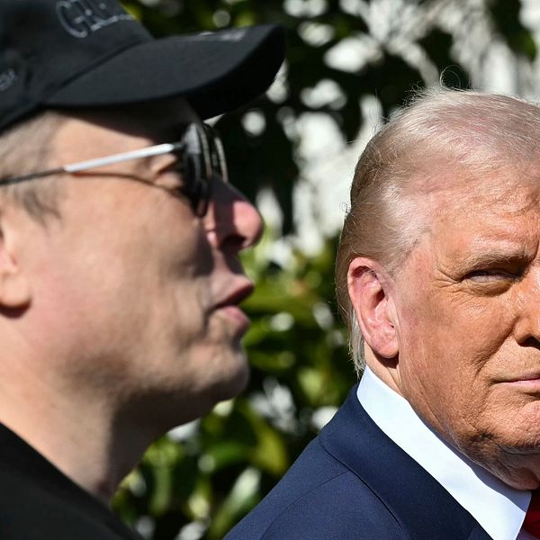 Närbild på Elon Musk och Donald Trump tillsammans utanför Vita huset. Musk bär solglasögon och Trump kollar åt hans håll.