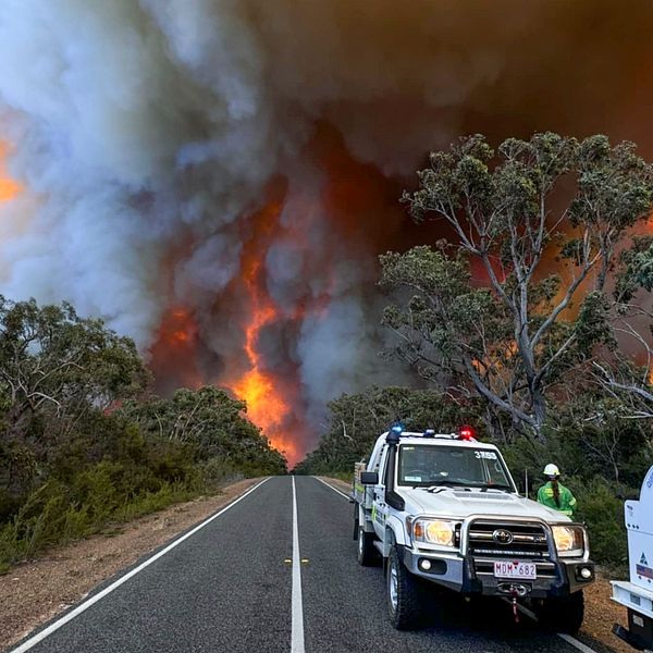 Stora rökpelare från skogsbrand i Grampians National park, Victoria, Australien.