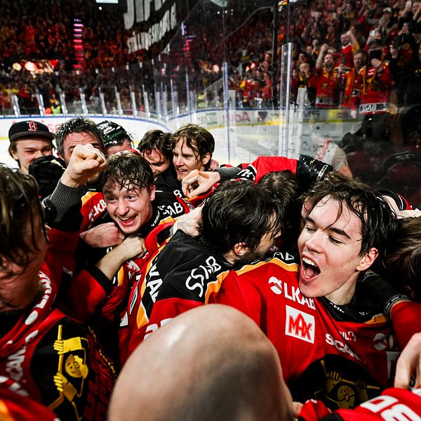 Ishockeylag firar seger tillsammans på isen inför jublande publik.
